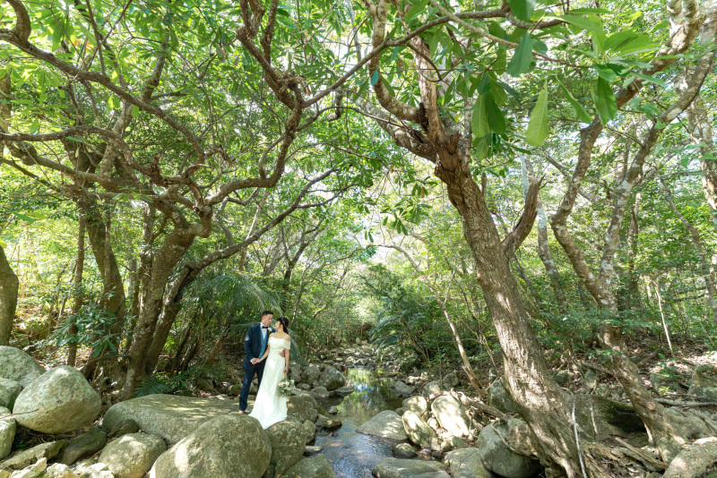 川もある石垣島。ジャングル南国植物の中の川。