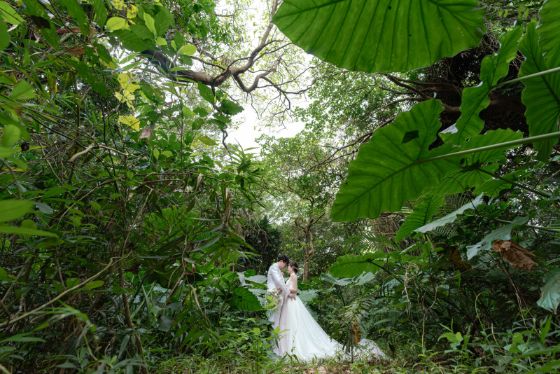 最後はジャングルの中へ。石垣島なら外せない。