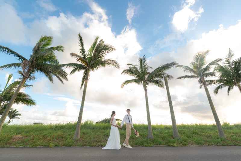 トロピカルサンセット。ヤシの木並木道
