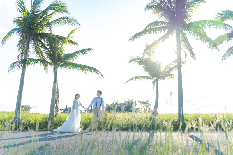 ヤシの木の並木道をふたりでのんびりお散歩