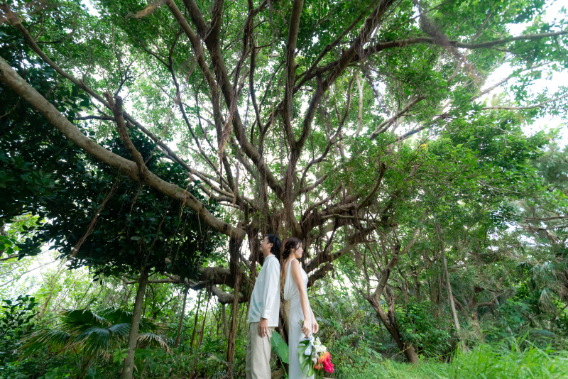 神秘的なガジュマルの木の前で。