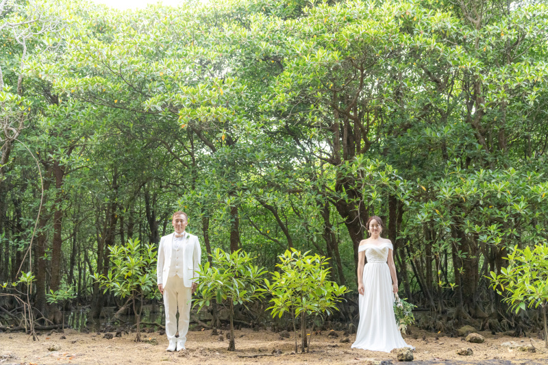 次は南国植物「マングローブ」へ。