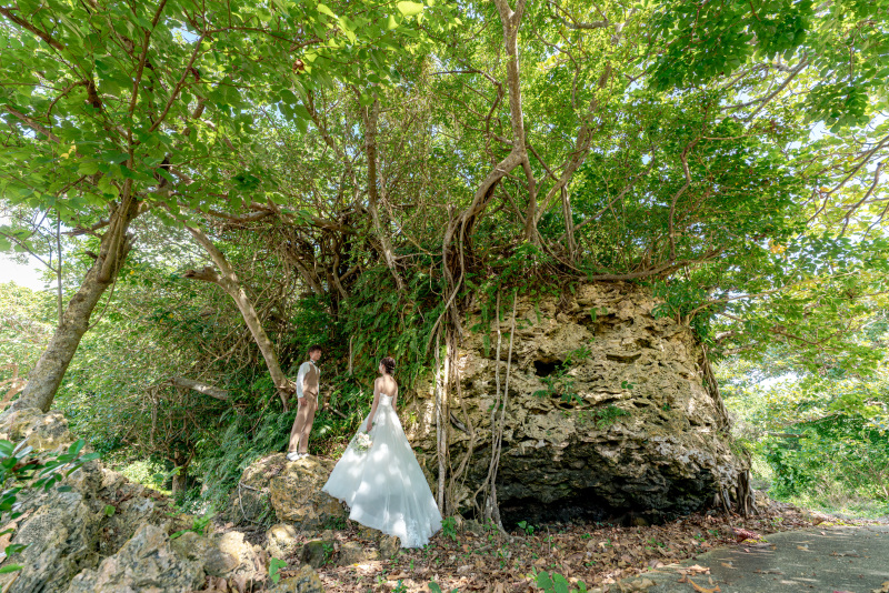 大きな大きな津波石。南国植物に覆われ雰囲気◉