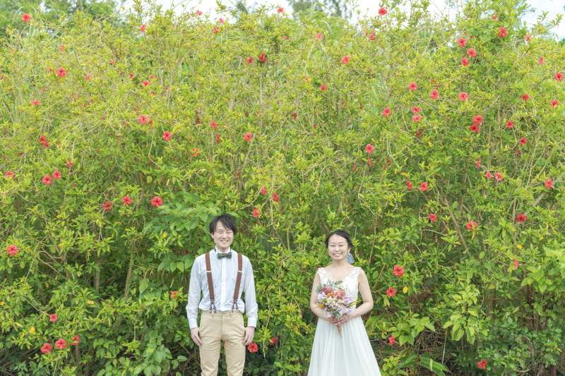 赤い花。ハイビスカスが咲き誇る。