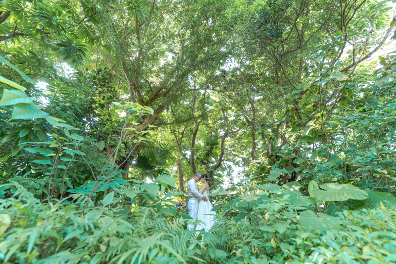 ジャングルの中へ。生い茂る南国植物。