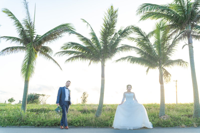 風でざわざわとヤシの葉っぱが音を立てる。