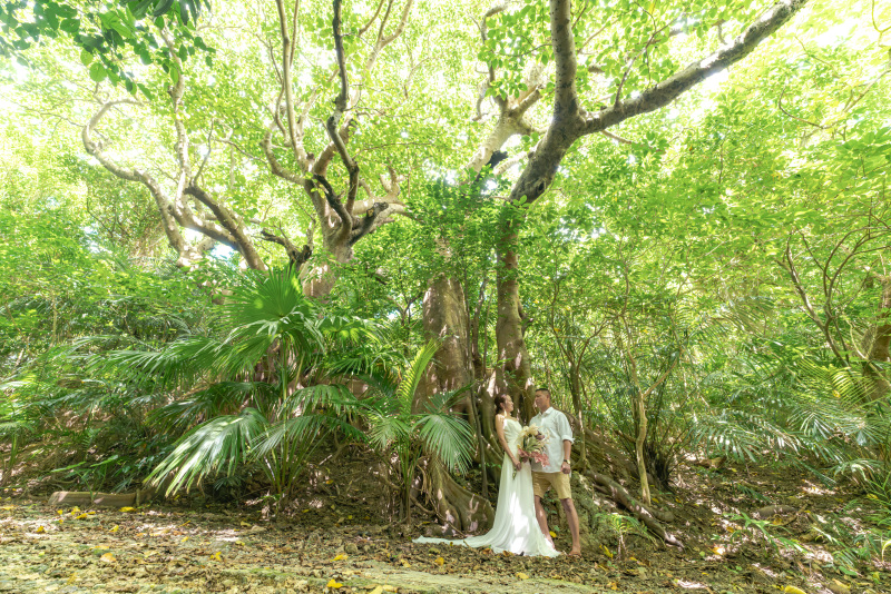 木漏れ日の素敵なジャングル。