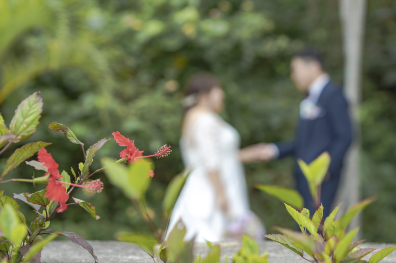 ビーチへ続くハイビスカスの道。