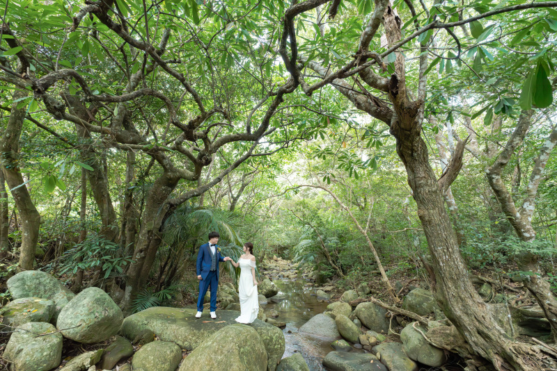石垣島ならではスポット。ジャングルの川。