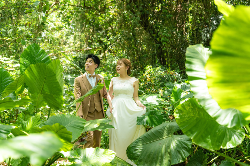 クワズイモの森の中をお散歩。まるで小人な気分。