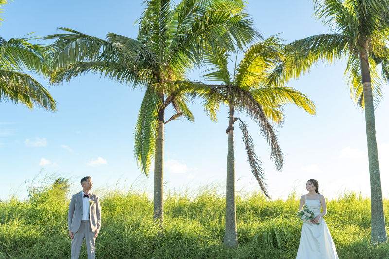 ヤシの木の並木道をふたりでのんびりお散歩