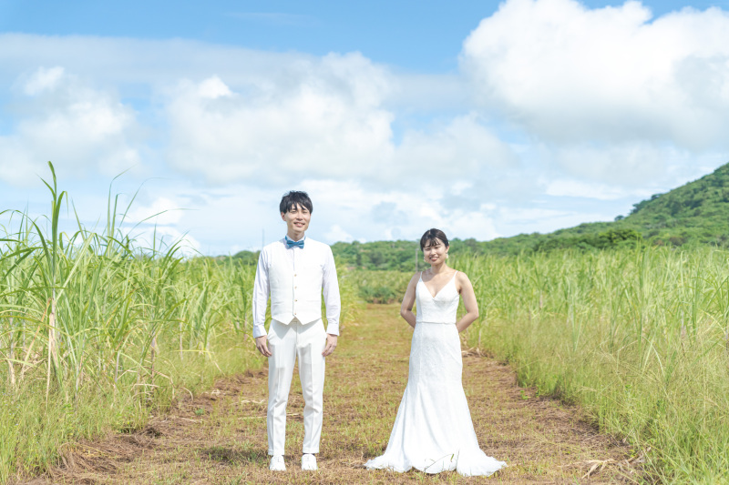 沖縄らしいザワワなサトウキビ畑の真ん中です。