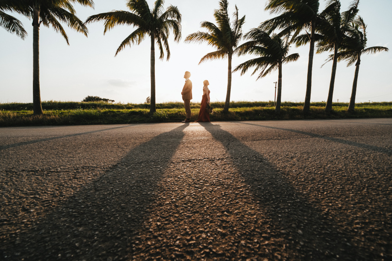 ヤシの木の並木道をおふたりならんで