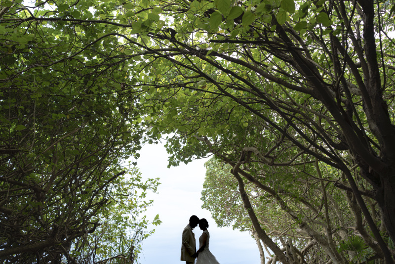 緑の美しい、森の中へ。緑のトンネル。