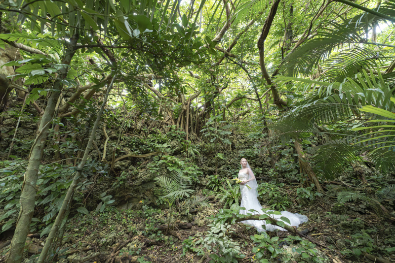 南国植物モリモリ！大自然感じるジャングルスポット