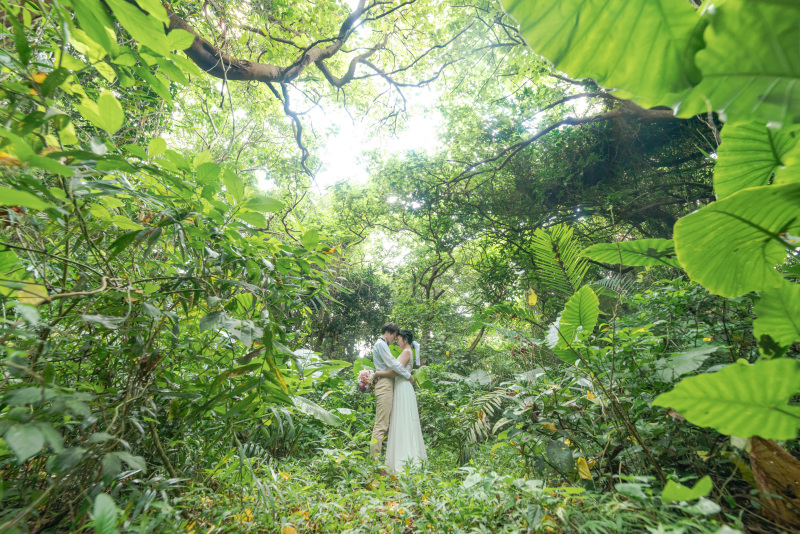 南国植物モリモリ!大自然感じるジャングルスポット