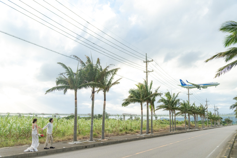 ヤシの木で撮影していると飛行機が!大迫力。