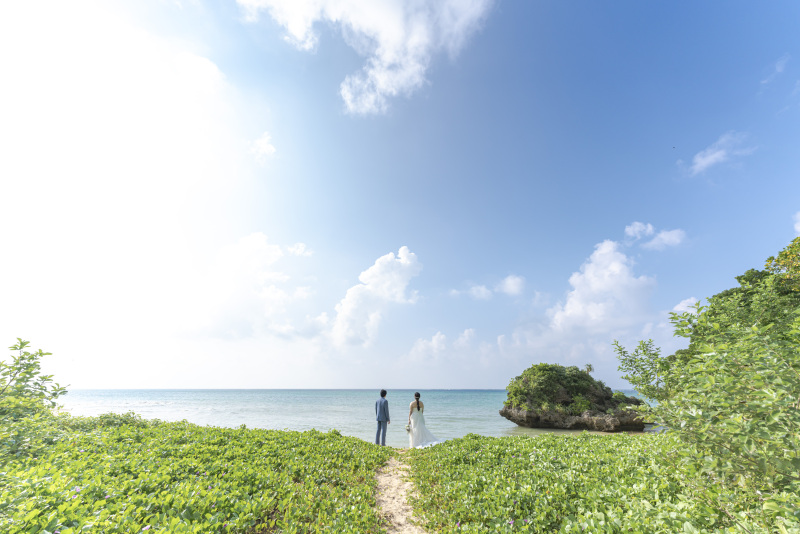 誰もいないビーチ。砂浜に育つ植物と一緒に。
