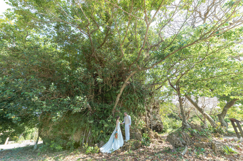 太古に津波で流されてきた大岩。