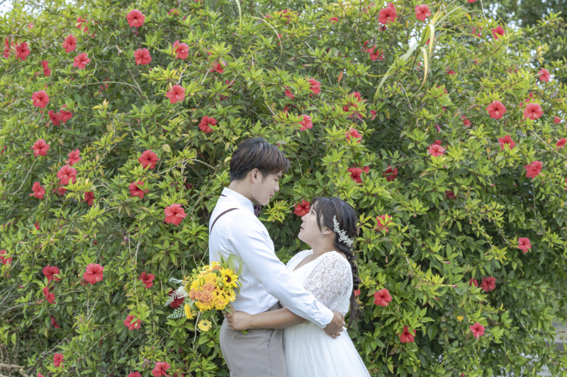 南国の花といえば!そうハイビスカス。