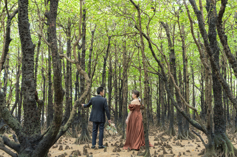 まずは、THE南国植物。『マングローブ』へ