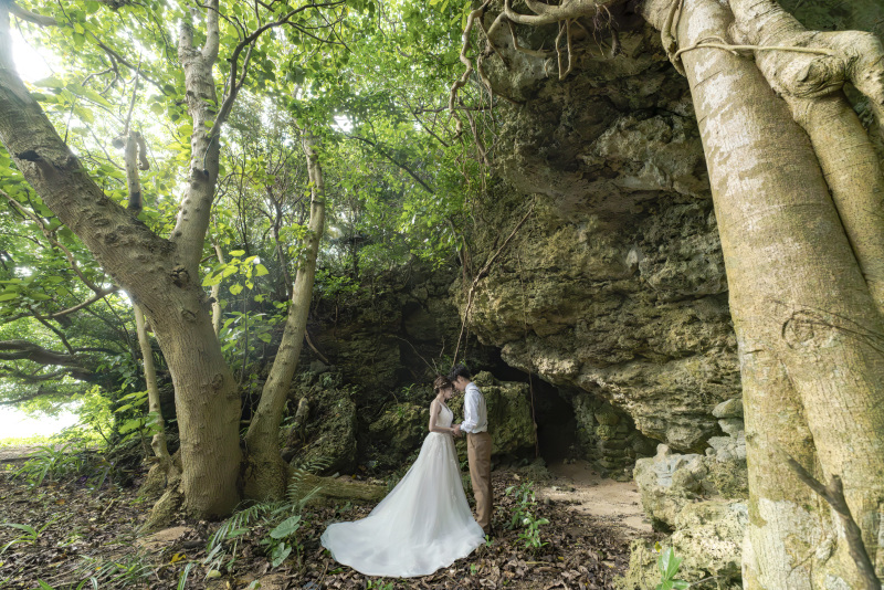 大きな岩。大きな植物。まるでジュラシックパーク！