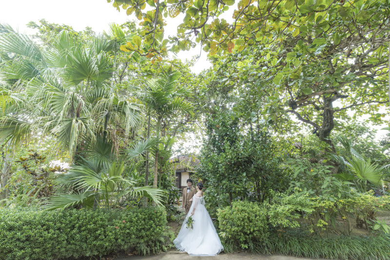 庭園には南国植物もたくさん。緑に囲まれて。