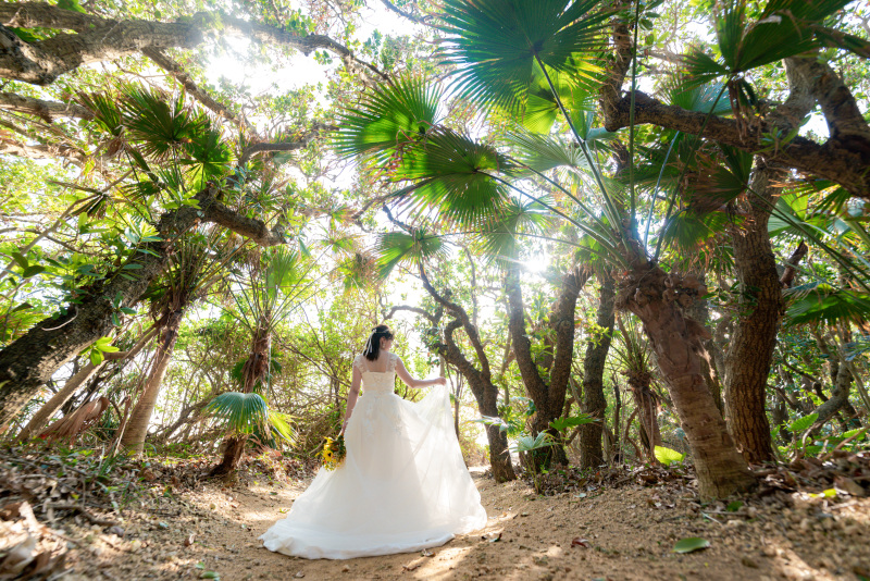 南国植物の生い茂る森の中で。