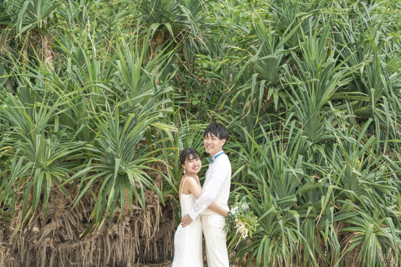 モリモリの南国植物。アダンの木。