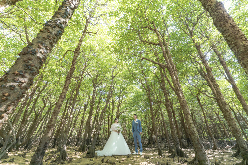 次は南国植物「マングローブ」へ。