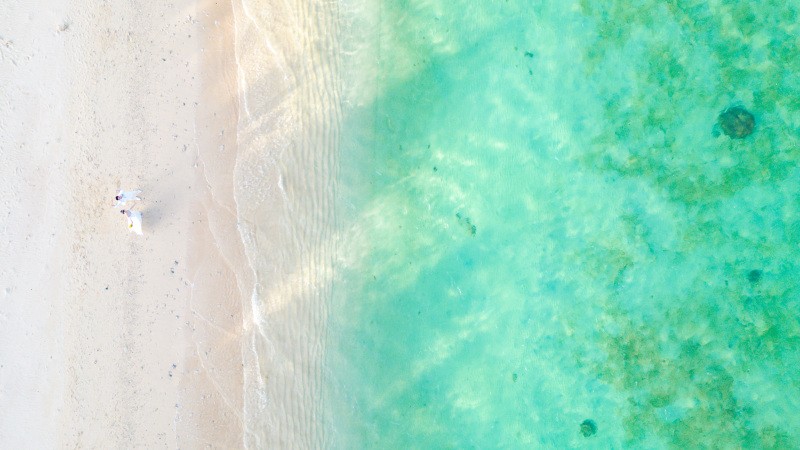 ドローンで空から海を見よう!