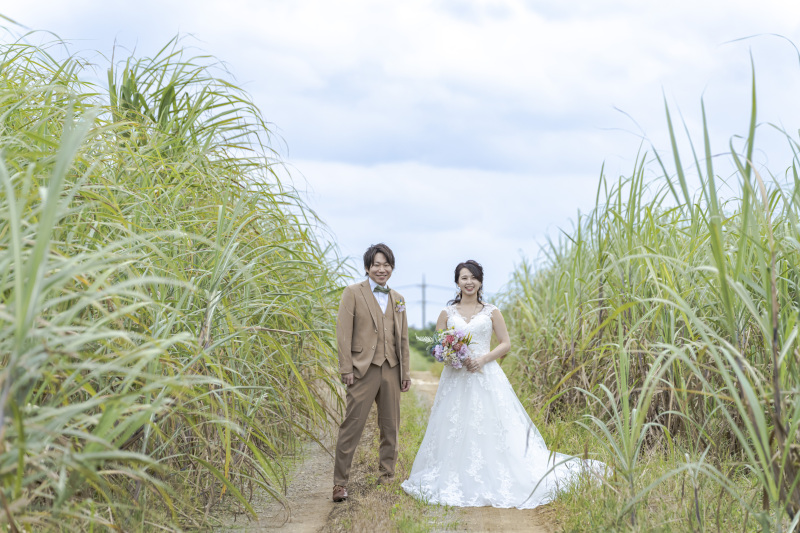 沖縄らしいサトウキビ畑