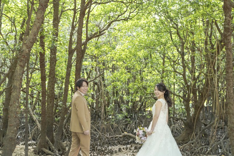 これも南国植物。マングローブ林の中で。