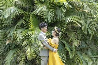 石垣島の生命力溢れる植物たちと約500年前の琉球の遺跡。