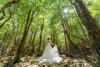 12ヶ所のロケ地を巡ったNoLimitフォトツアー！海も森も花も牛も雄大な景色も