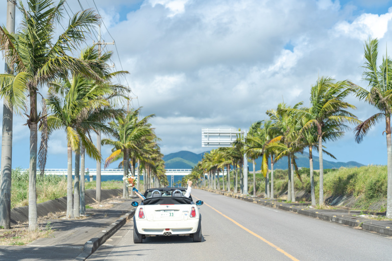 ヤシの木の道を走り抜ける!素晴らしいドライブ日和