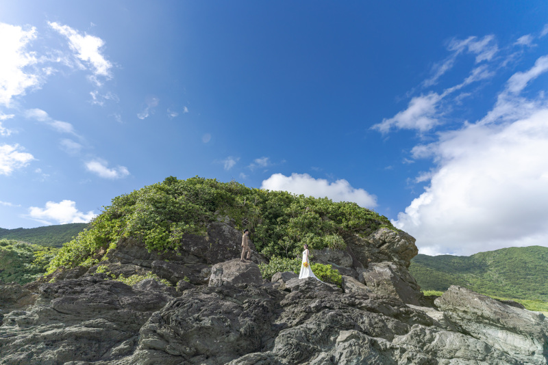 ゴツゴツの岩の上に、南国植物がワサワサ生えてる。