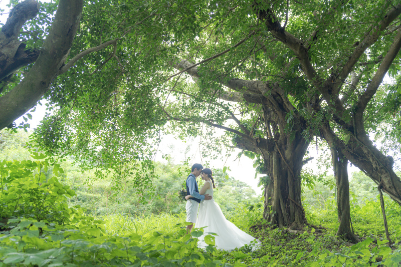 緑に囲まれた空間。