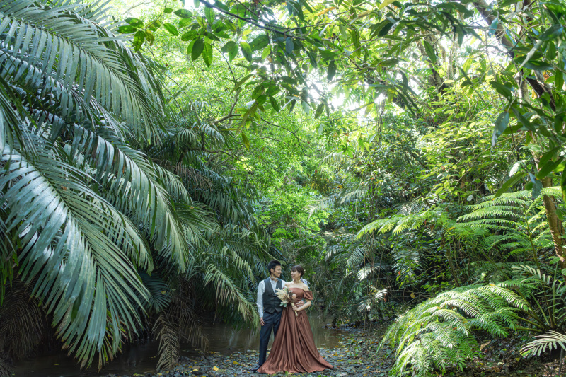 マングローブだけじゃない!南国植物のジャングル。