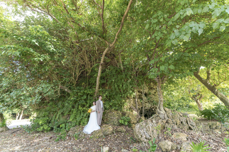 南国植物に覆われた津波で流されてきた大きな津波岩
