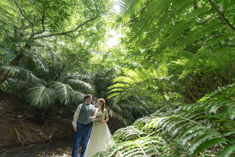 南国植物モリモリ!大自然感じるジャングルスポット