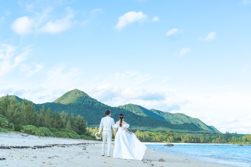 美しい山の流線美。これが石垣島らしい景色。