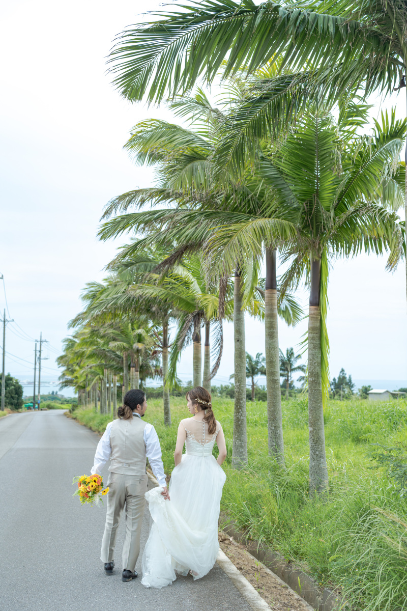 続いてはヤシの木並木道で。