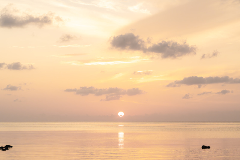 プロポーズで用意したい物があればご相談ください!