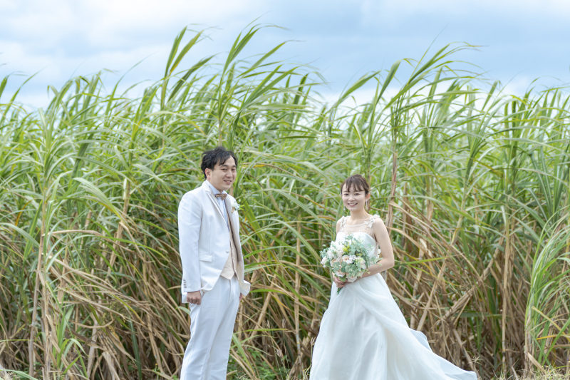 途中で寄り道して、サトウキビ畑へ。