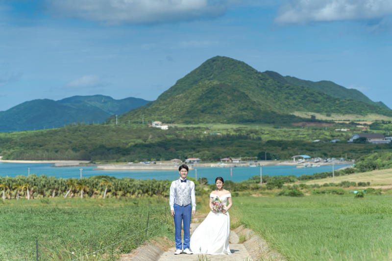 海の見える一本道。牧草地が広がるスポット。
