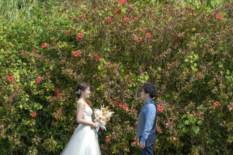 ハイビスカスは1年中どこかには咲いています。