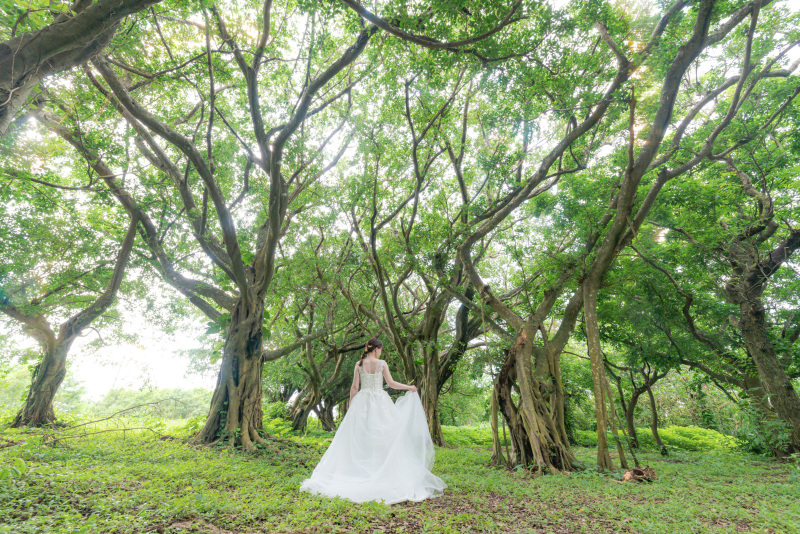 ガジュマルの森へ移動。海とは全く違う雰囲気。