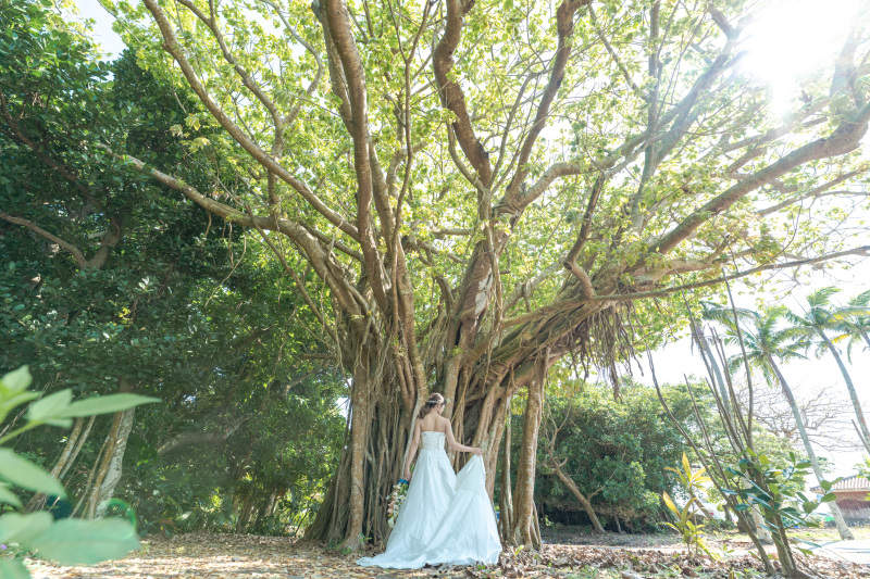 ガジュマルの木を背景に。ソロショットも。