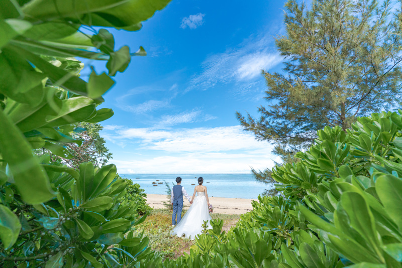 草をかき分けて進めば、そこは真っ青な海のビーチ